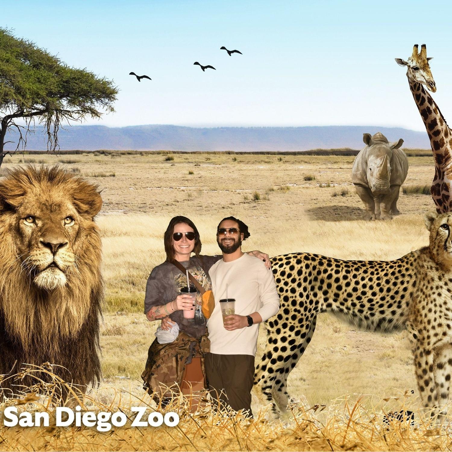 When we first got out SD Zoo membership
