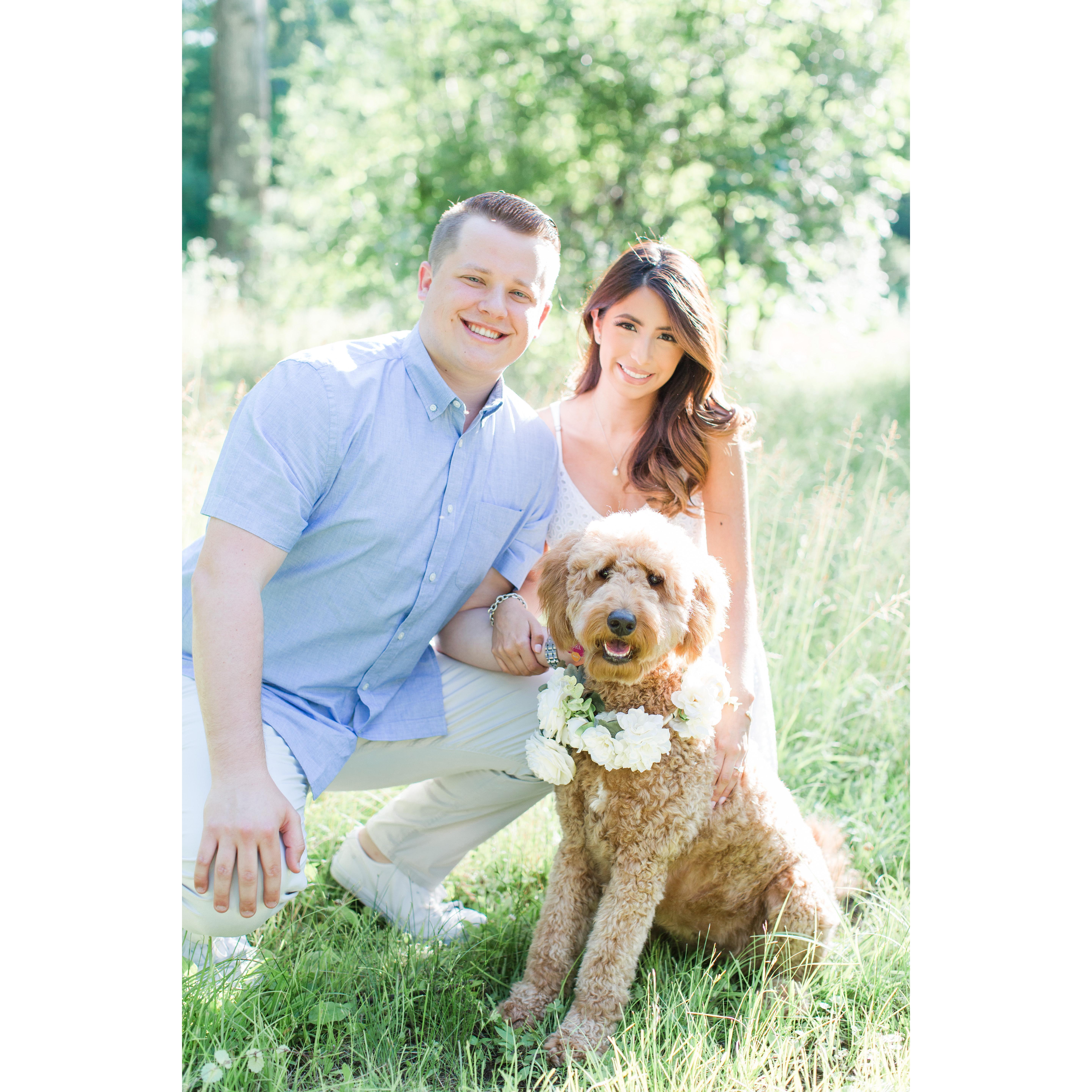 Meet Cora, our goldendoodle and dog child. Our first dog together.