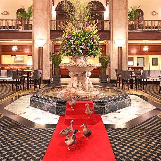 Check out the iconic Duck Walk in the historic Peabody Hotel in downtown Memphis!