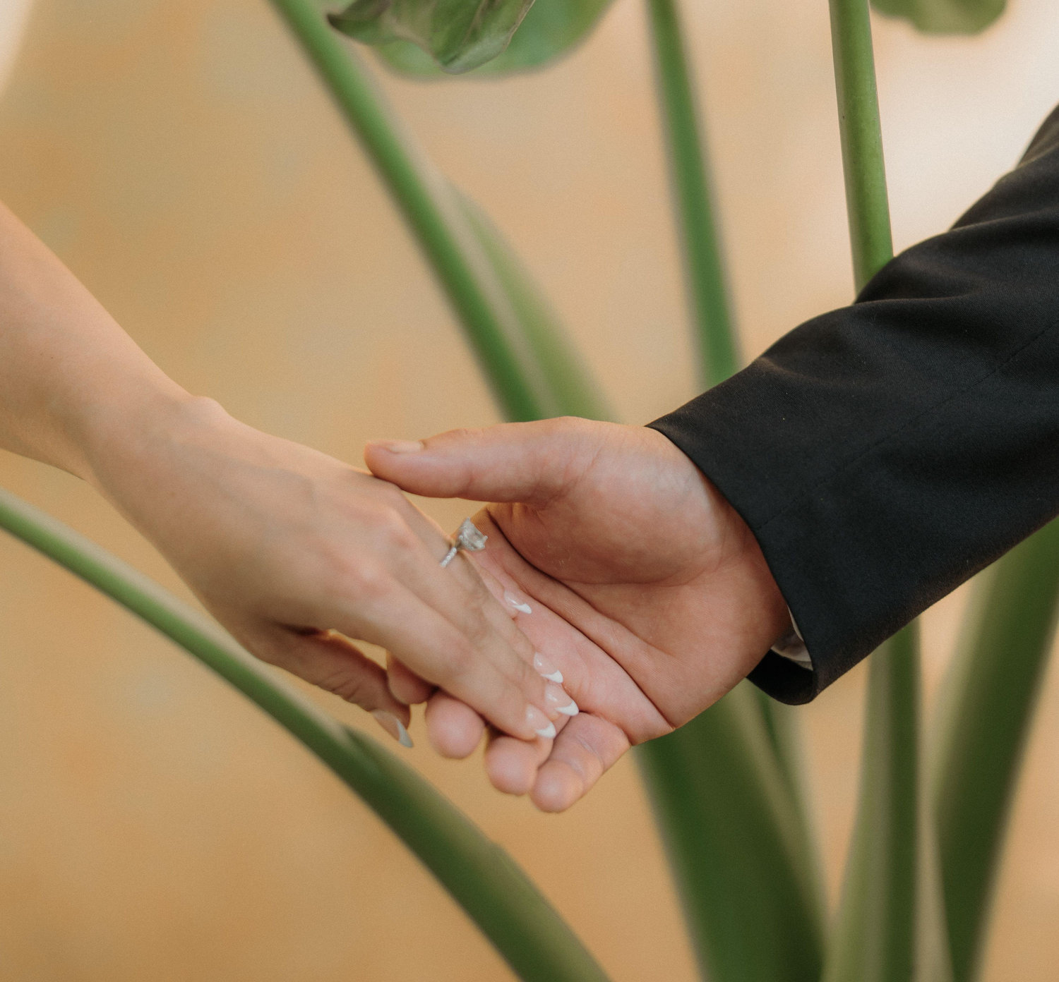 The Wedding Website of Brenda Cantu and Juan Gonzalez