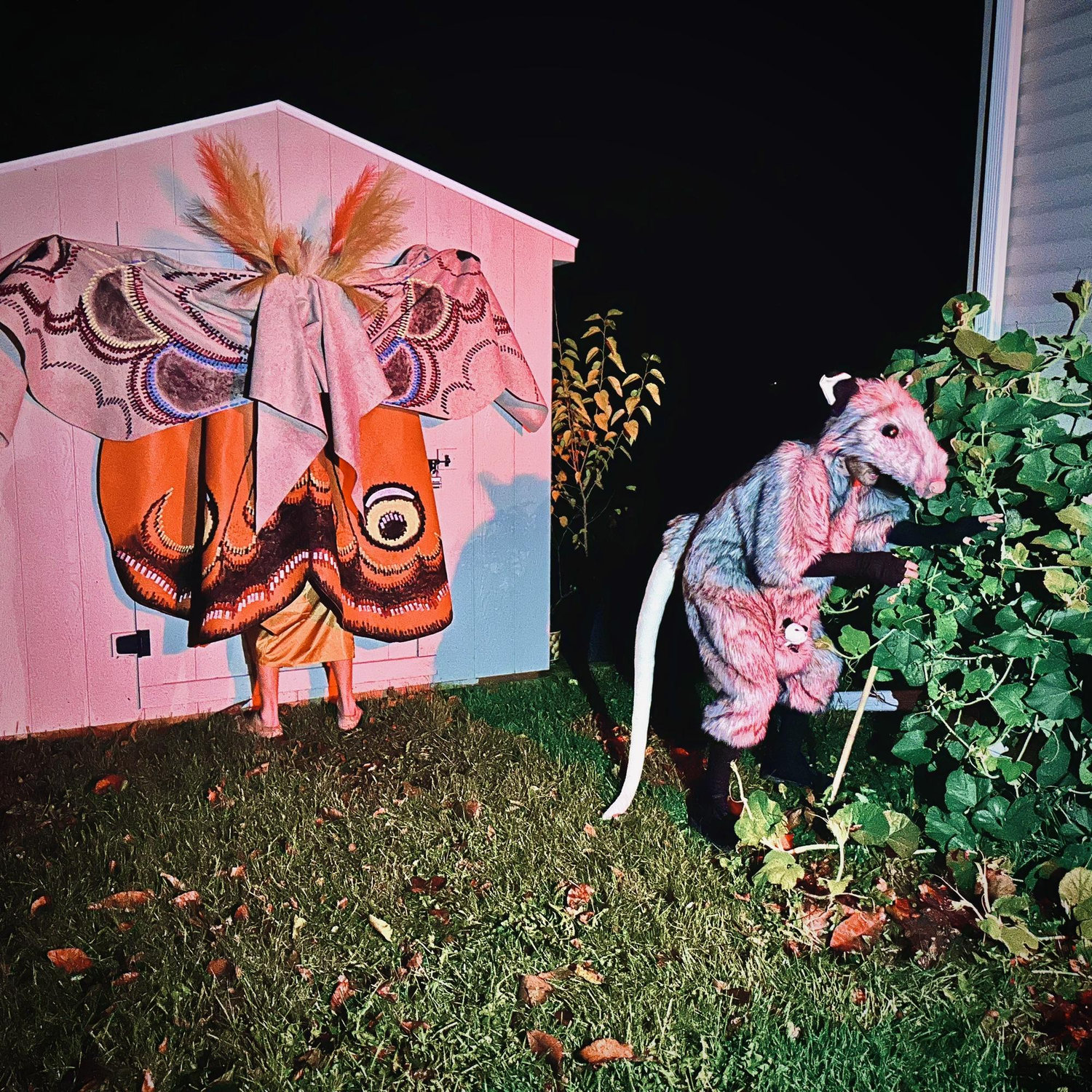 “Creatures of the Night” party, Halloween 2023.