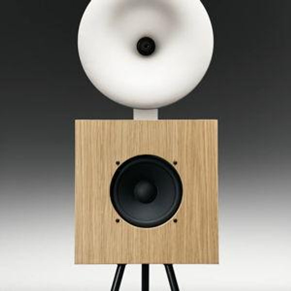 Hum Speakers in White Oak