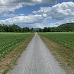 Lamoille Valley Rail Trail