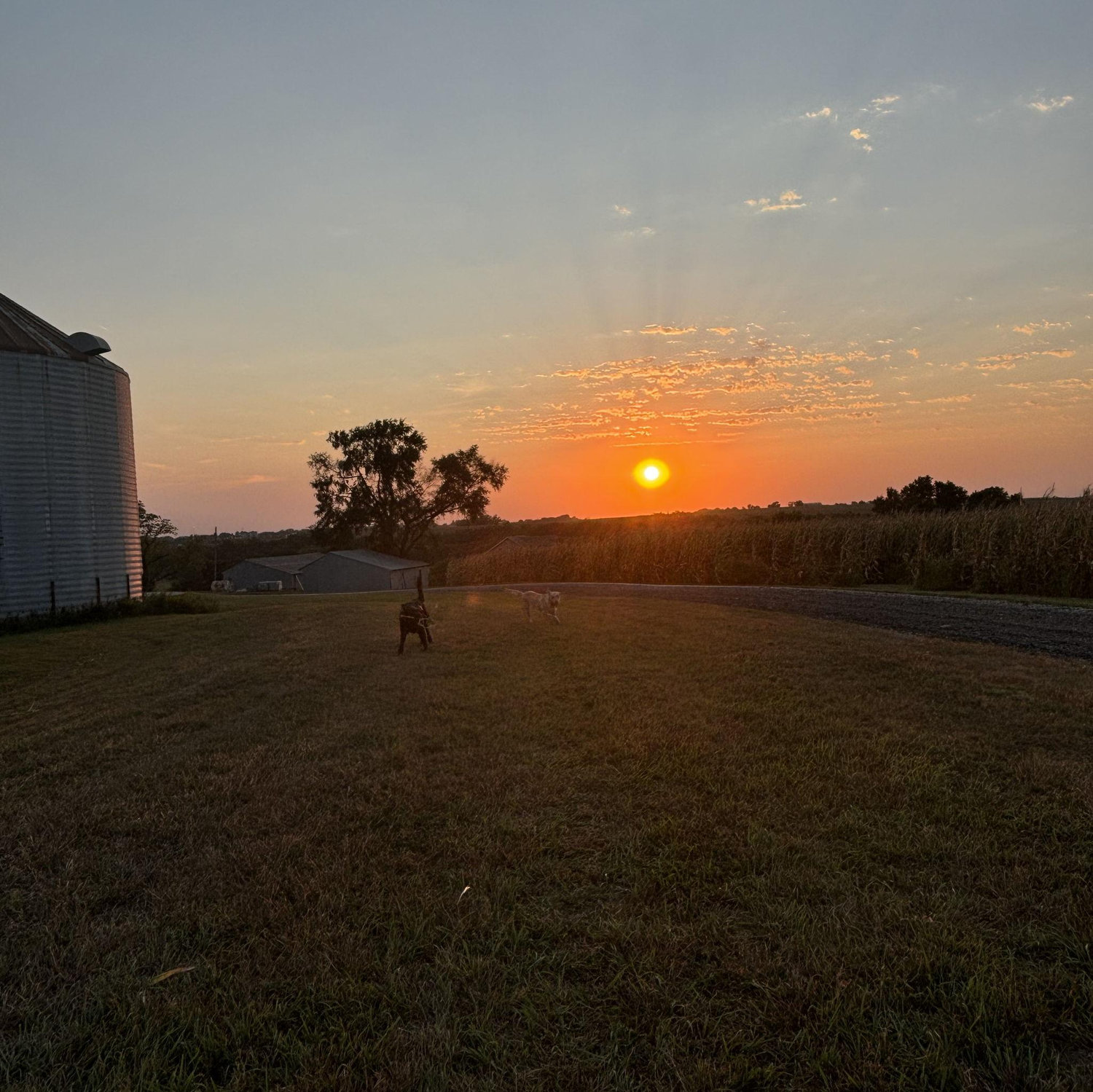 The farm where we fell in love