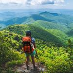 Pisgah National Forest / Mt. Mitchell