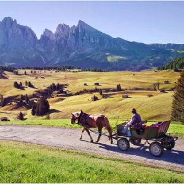 Horse Carriage Ride in the Dolomites
