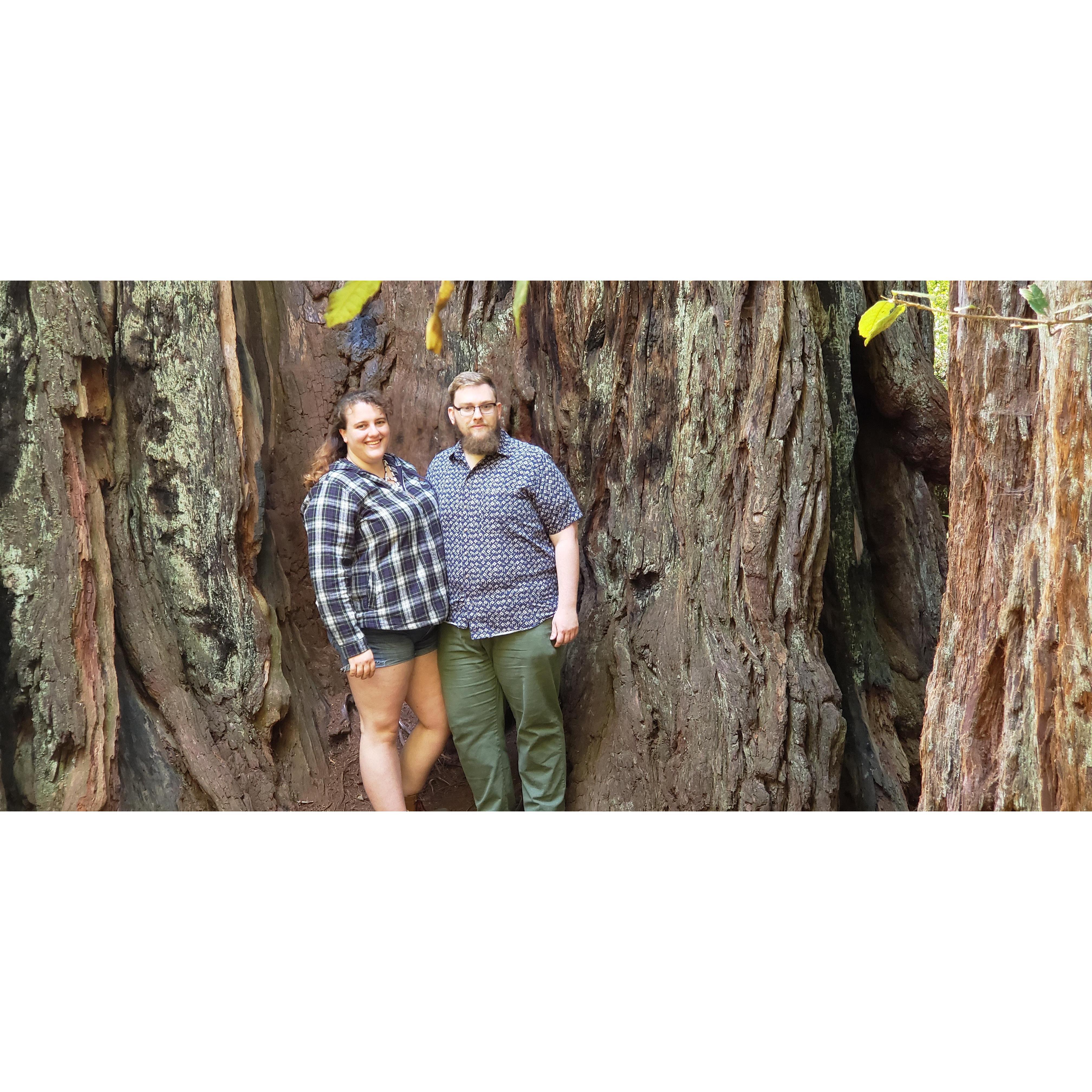 This picture was so hard to take without a tripod!