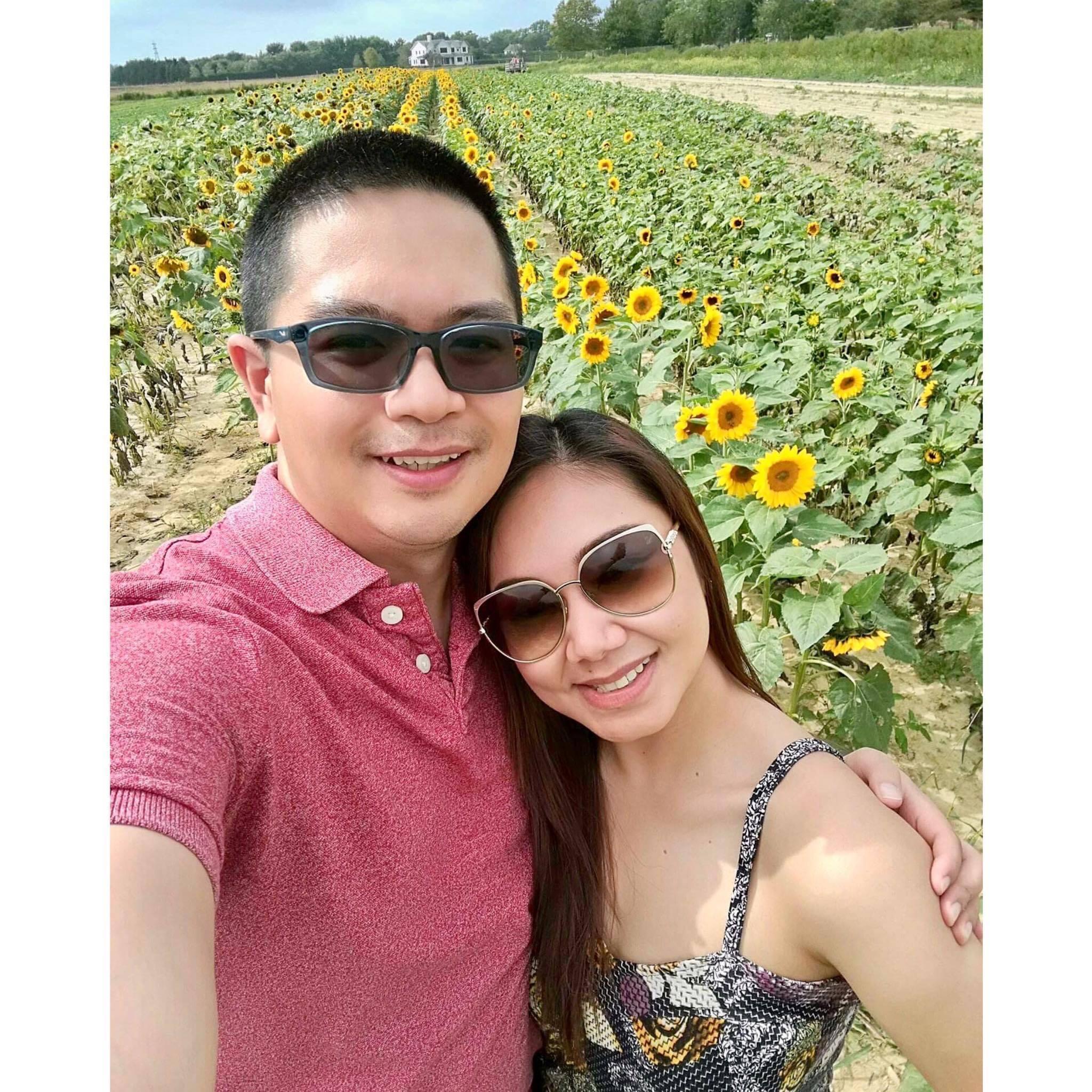 Sunflower farm