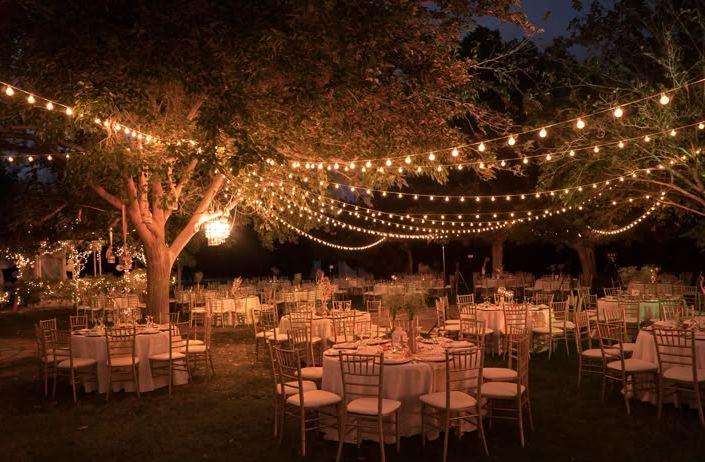 The Wedding Website of JERIN D SILVA and AMRUTHA P P