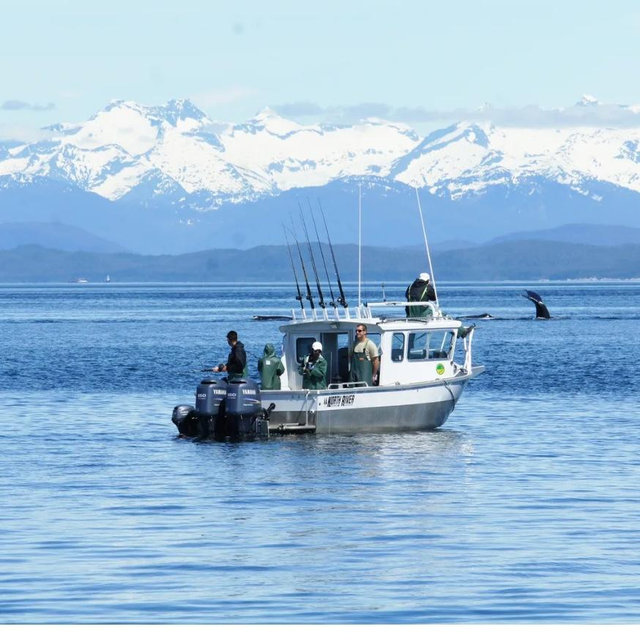 Alaskan Fishing Charter- Honeymoon