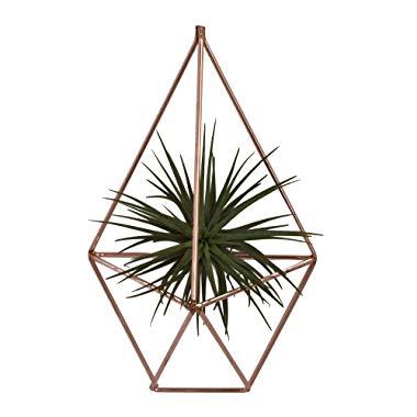 NCYP 7.87 inches Hanging Air Plants Holder Rustic Wall Mount Irregular Pentagon Geometric Metal Tillandsia Rack Accent Decor Rose Gold (No Plants)