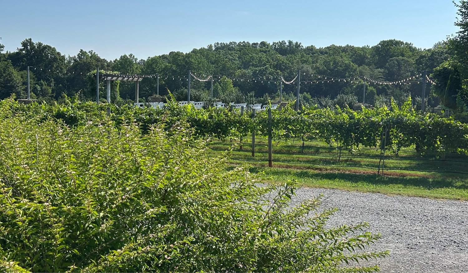 The Wedding Website of Danielle Derwich and Blain Vanderhoof