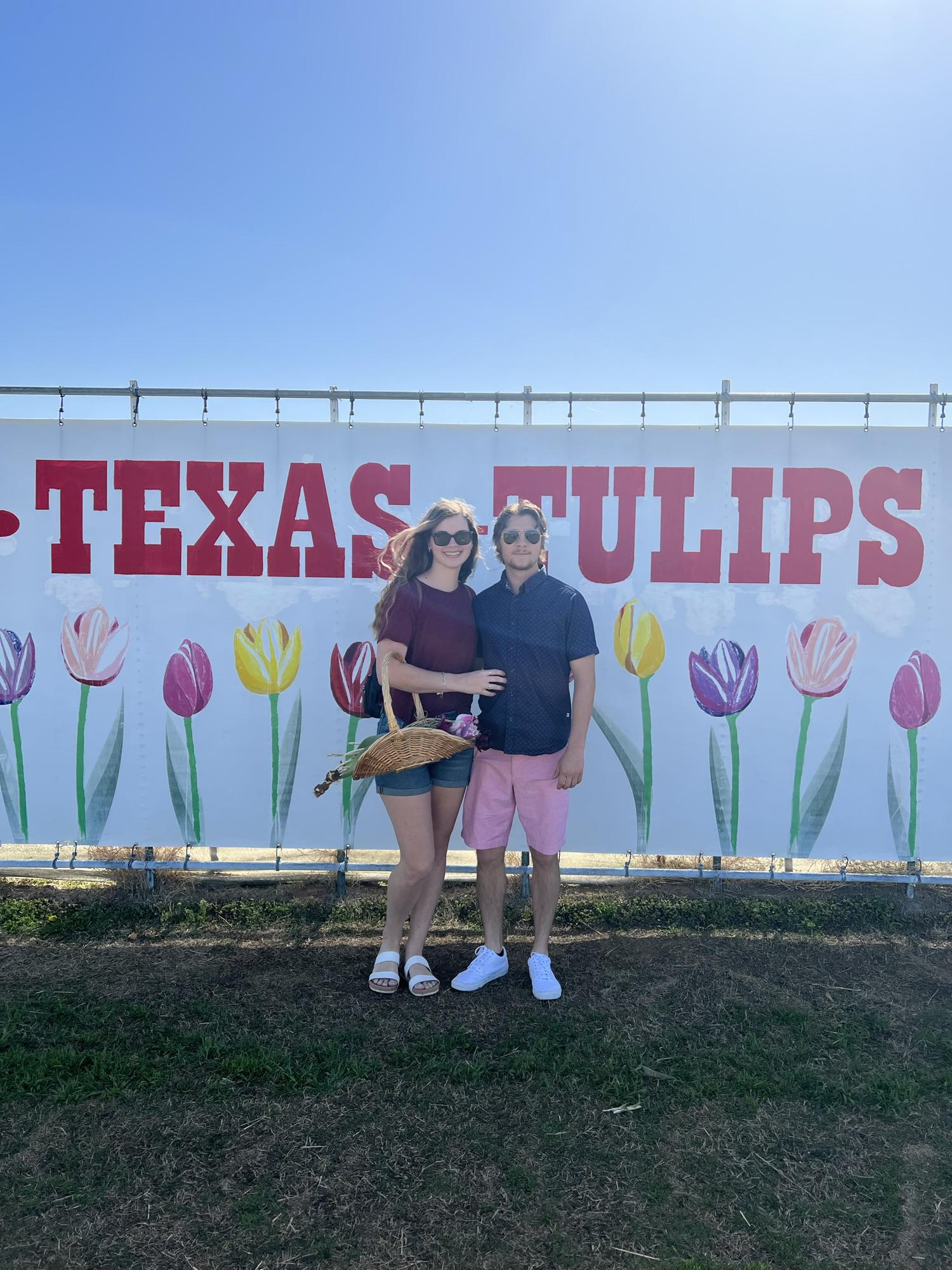 Tulip farm