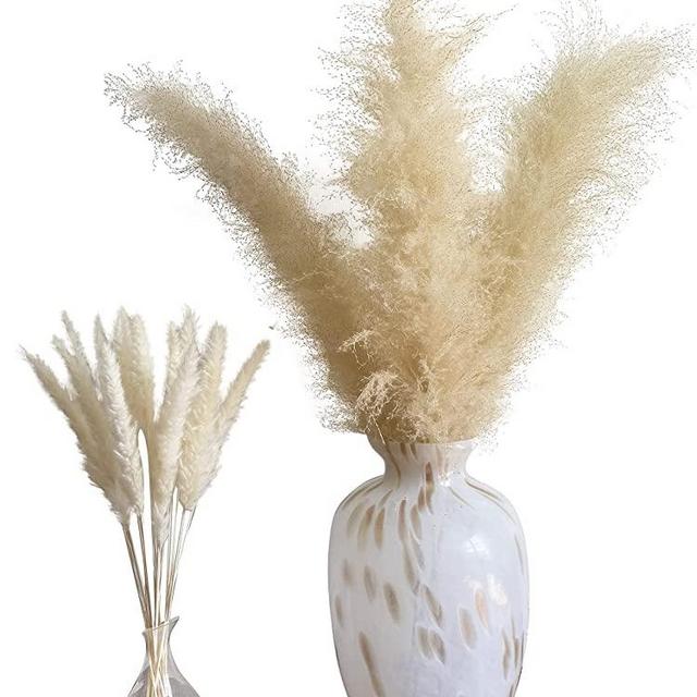 Homenivia's Fluffy Pampas Grass - 4 Beige Large Pampas Grass Stems 46" & Bonus 15 Small White Pampas Grass Stems 27" - Premium Dried Pampas Grass - Neutral Pampas Grass Decor for Home / Weddings