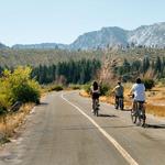 Rent a Bike at Pine Nut Cycle Cafe