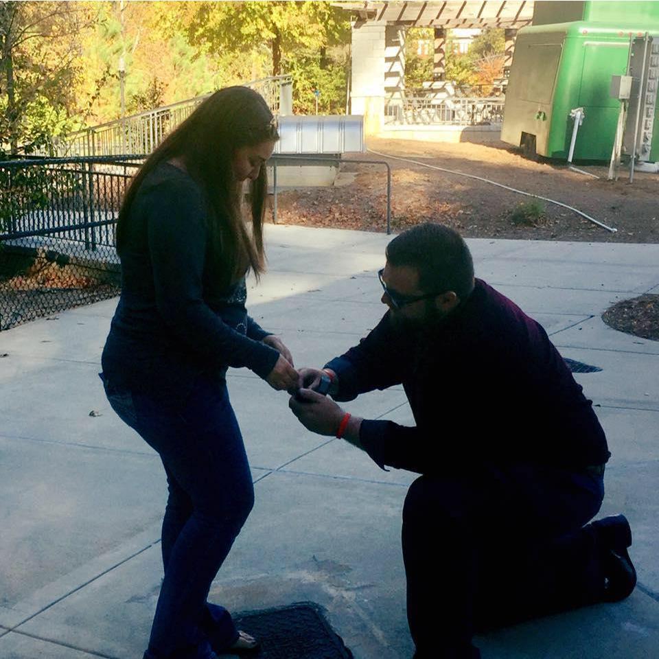 The Proposal