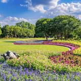 The Dallas Arboretum and Botanical Garden