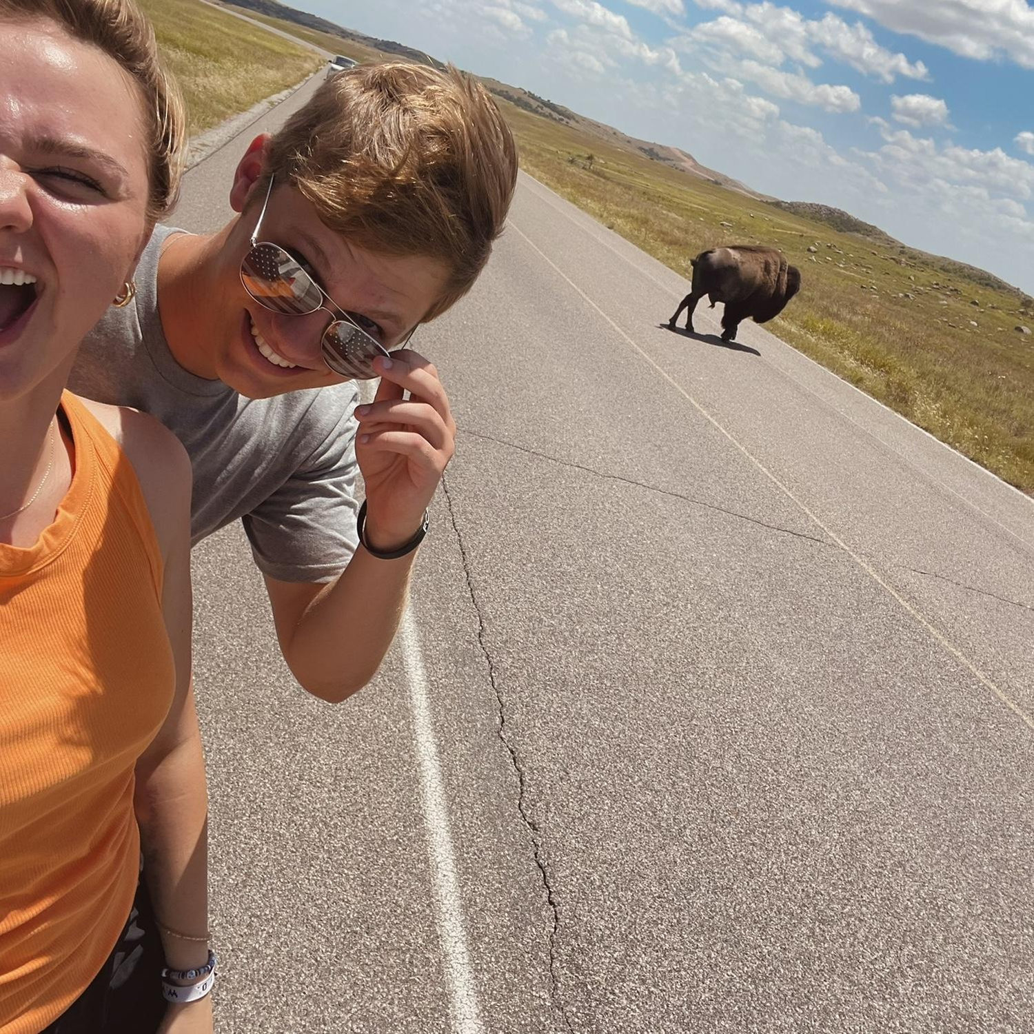 Bison!!!!