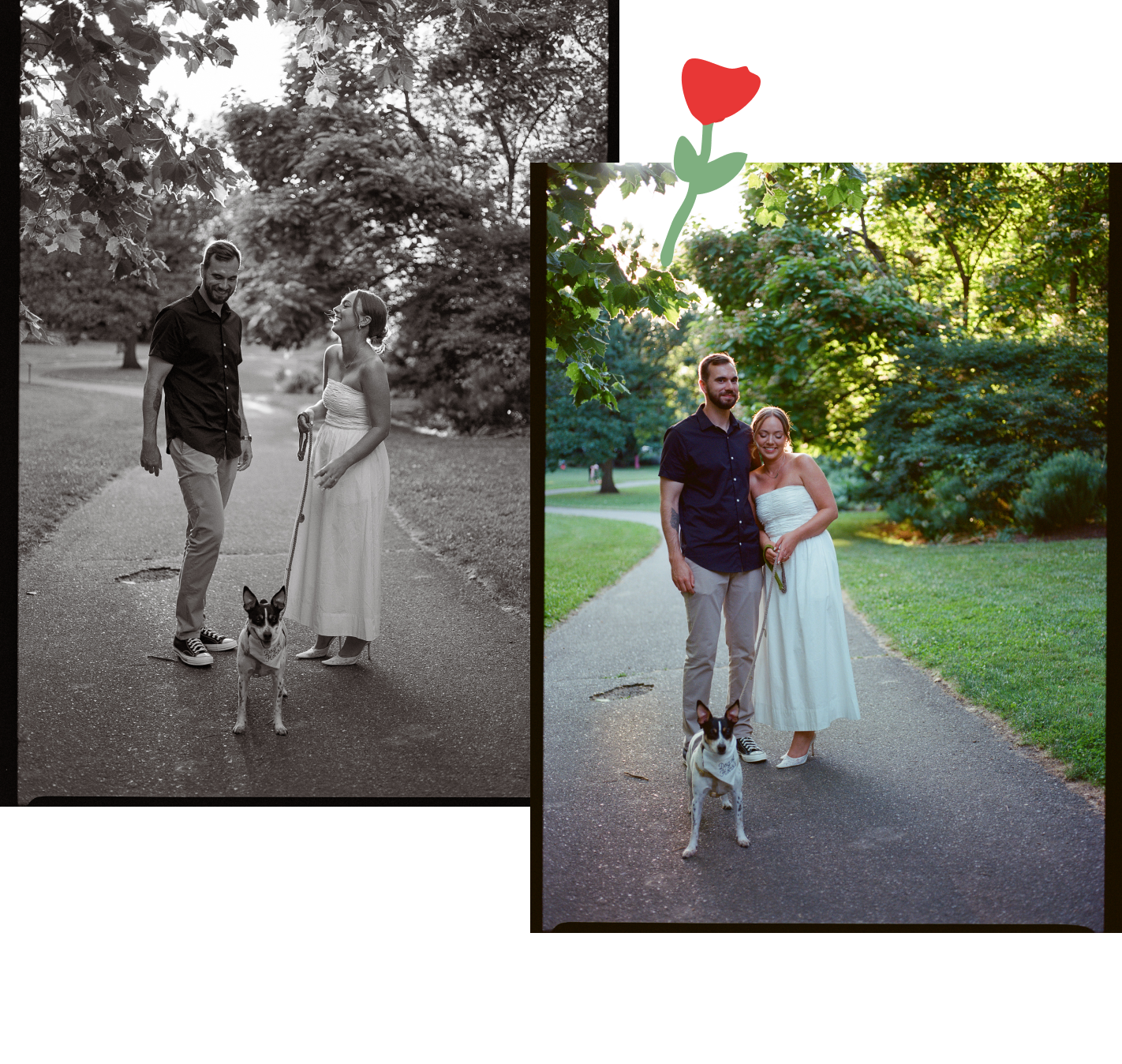 The Wedding Website of Victoria Apeland and Cory Constantine