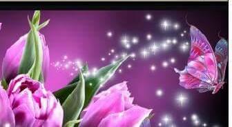 Footer image