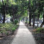 Avenida Amsterdam