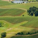Monticello Wine Trail