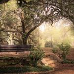 Mid-City Recommendations