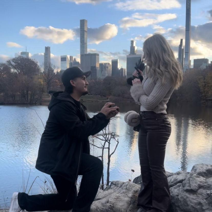 Central Park proposal