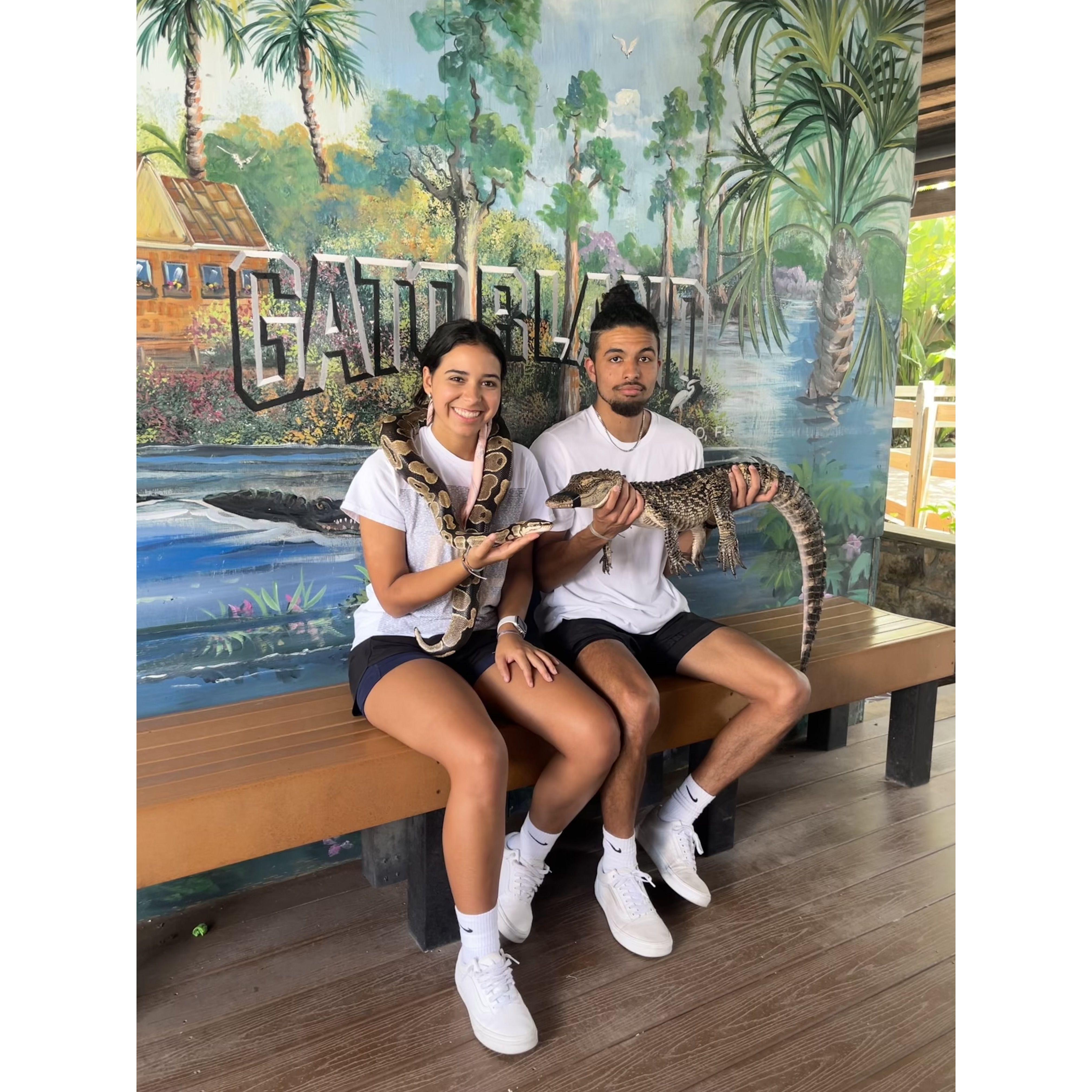 GatorLand