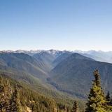 Hurricane Ridge