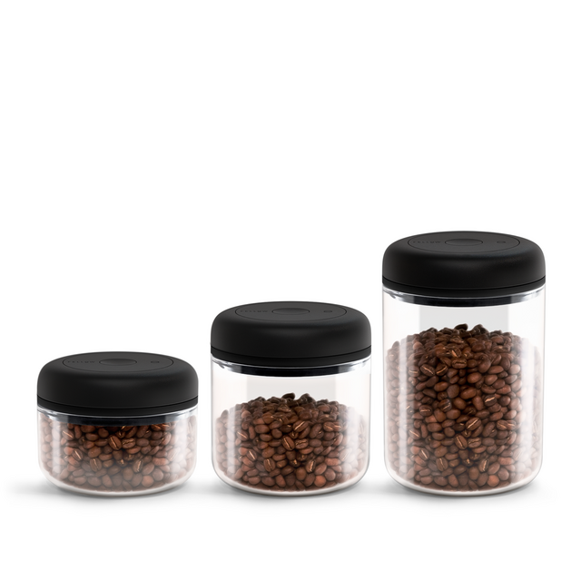 Fellow Glass Storage Containers