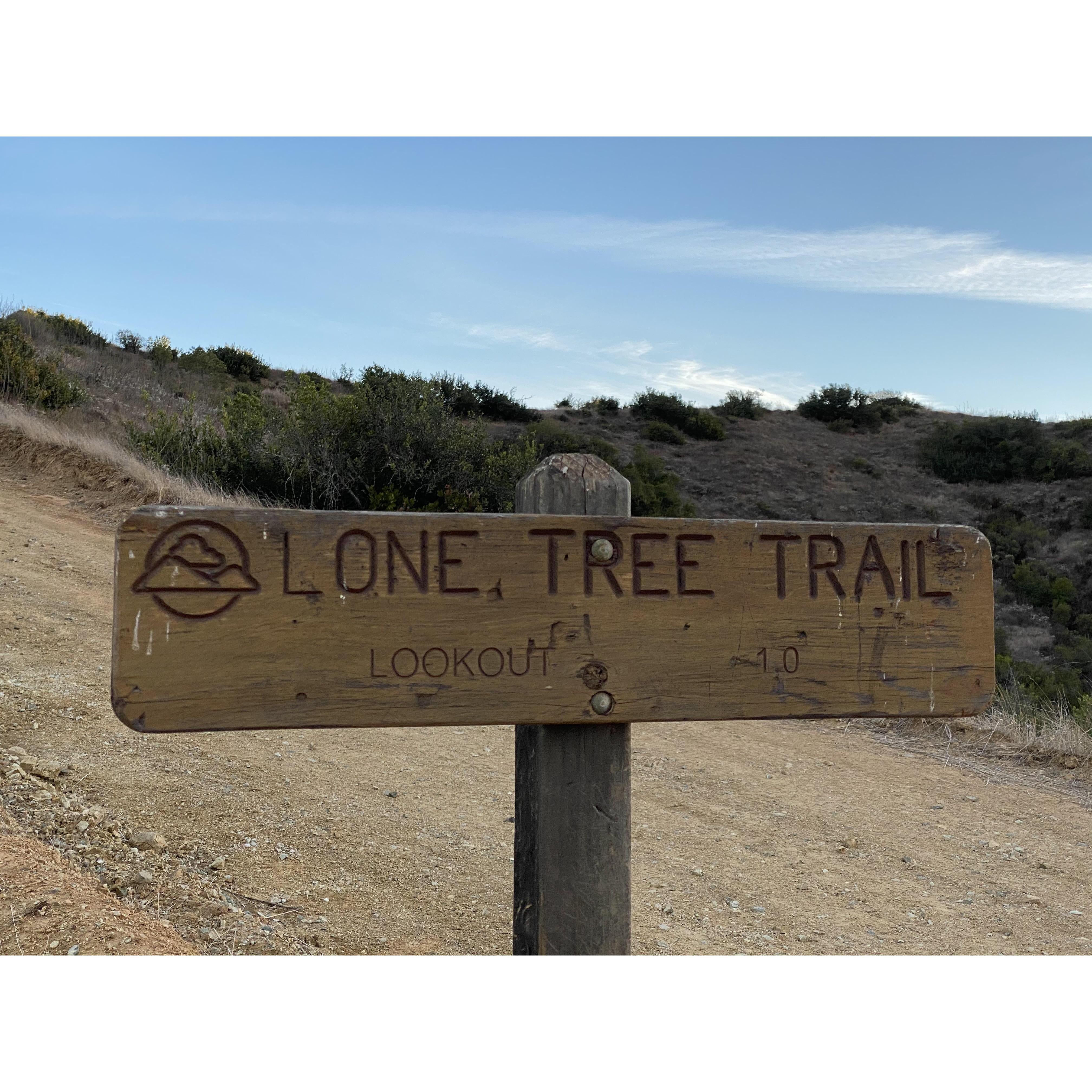 Last December we went out to Catalina Island. Unbeknownst to Hannah, I planned to propose and had picked out a scenic spot on the other side of the island, at the end of the Lone Tree Trail.