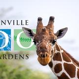 Jacksonville Zoo and Botanical Gardens