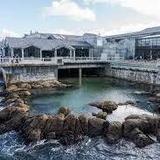 Monterey Bay Aquarium