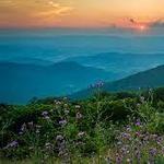 Shenandoah National Park