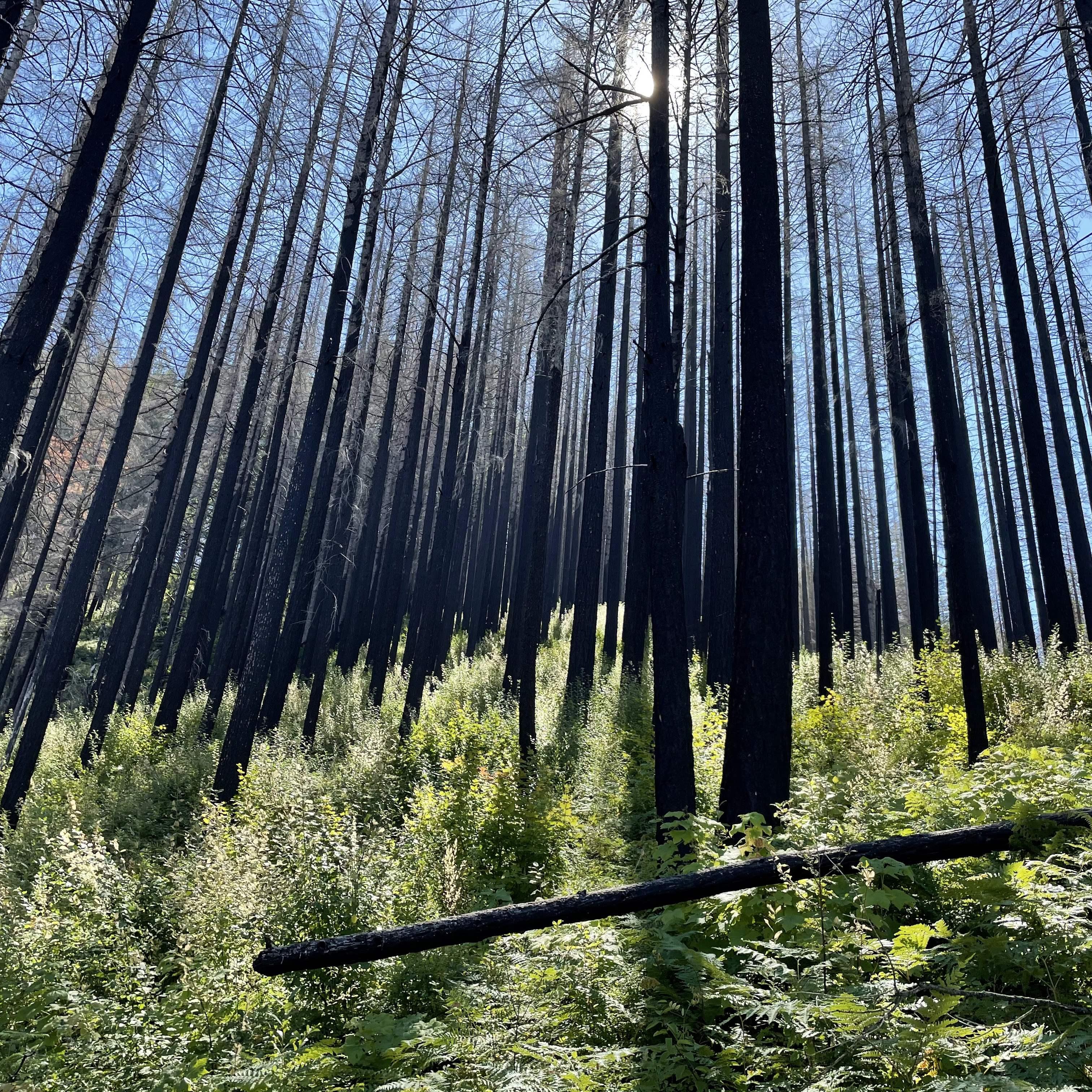 Pacific NW Trip 2021