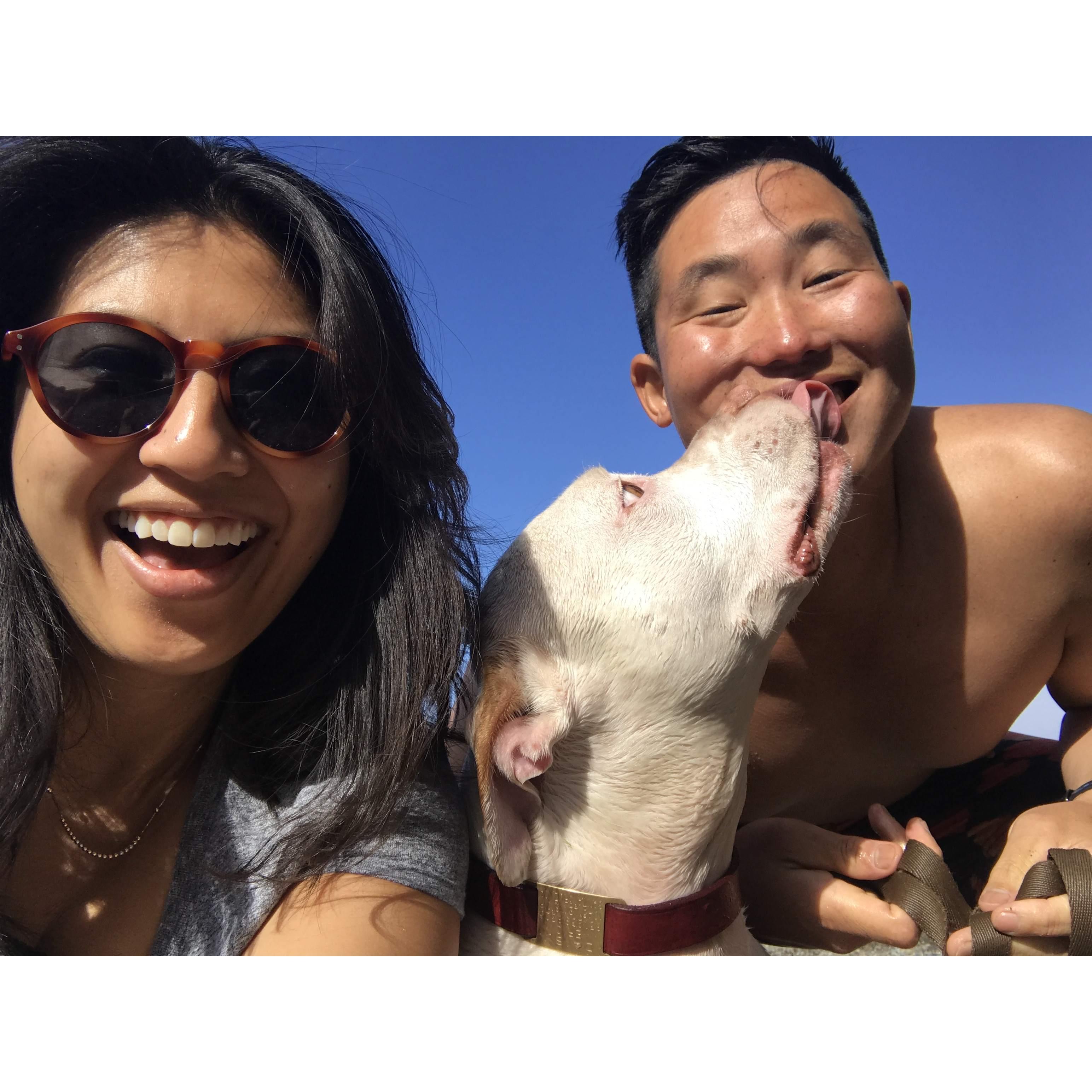 First camping trip with Daisy (who we miss every day...)