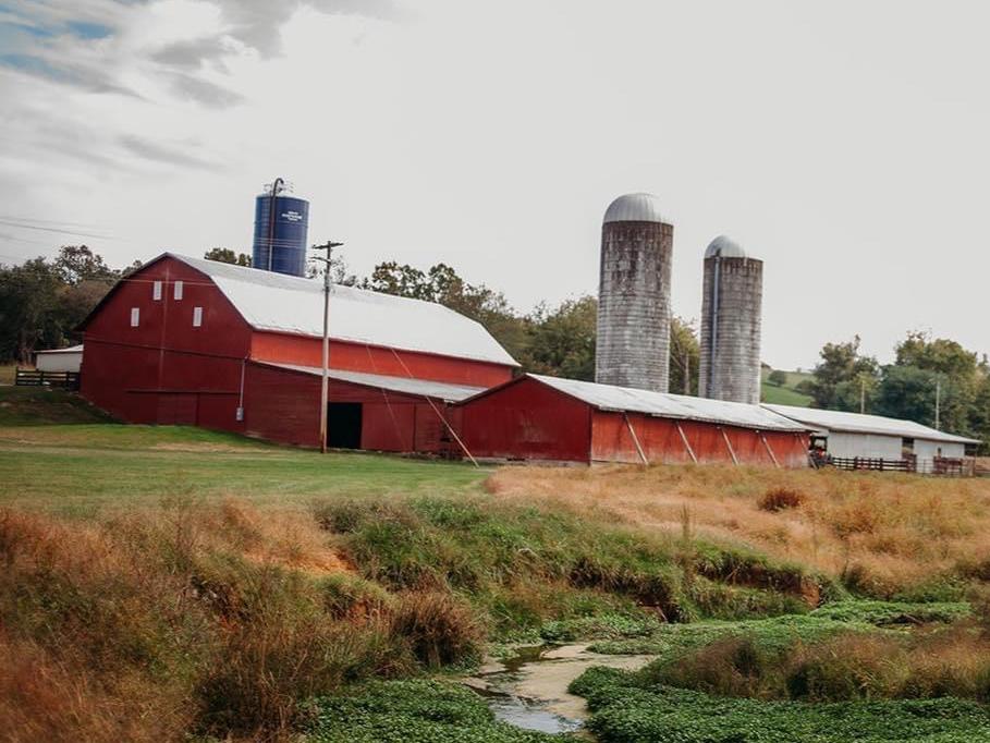 The Wedding Website of Haley Lentz and Tristan Eppard