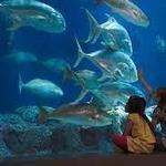 South Carolina Aquarium