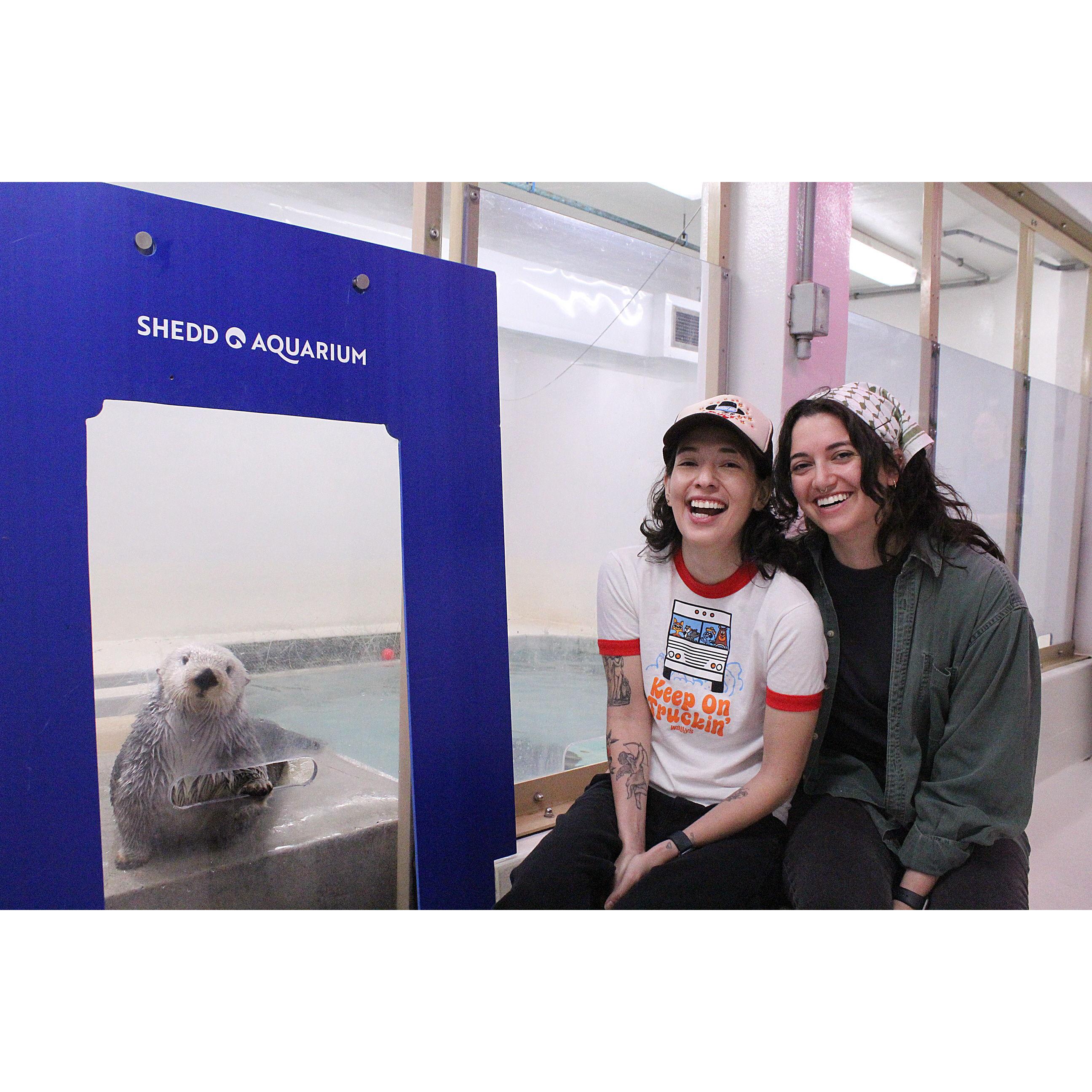 We got to meet the otters!!!