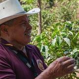 De La Gente Coffee Farm (Finca) Tour and Tasting