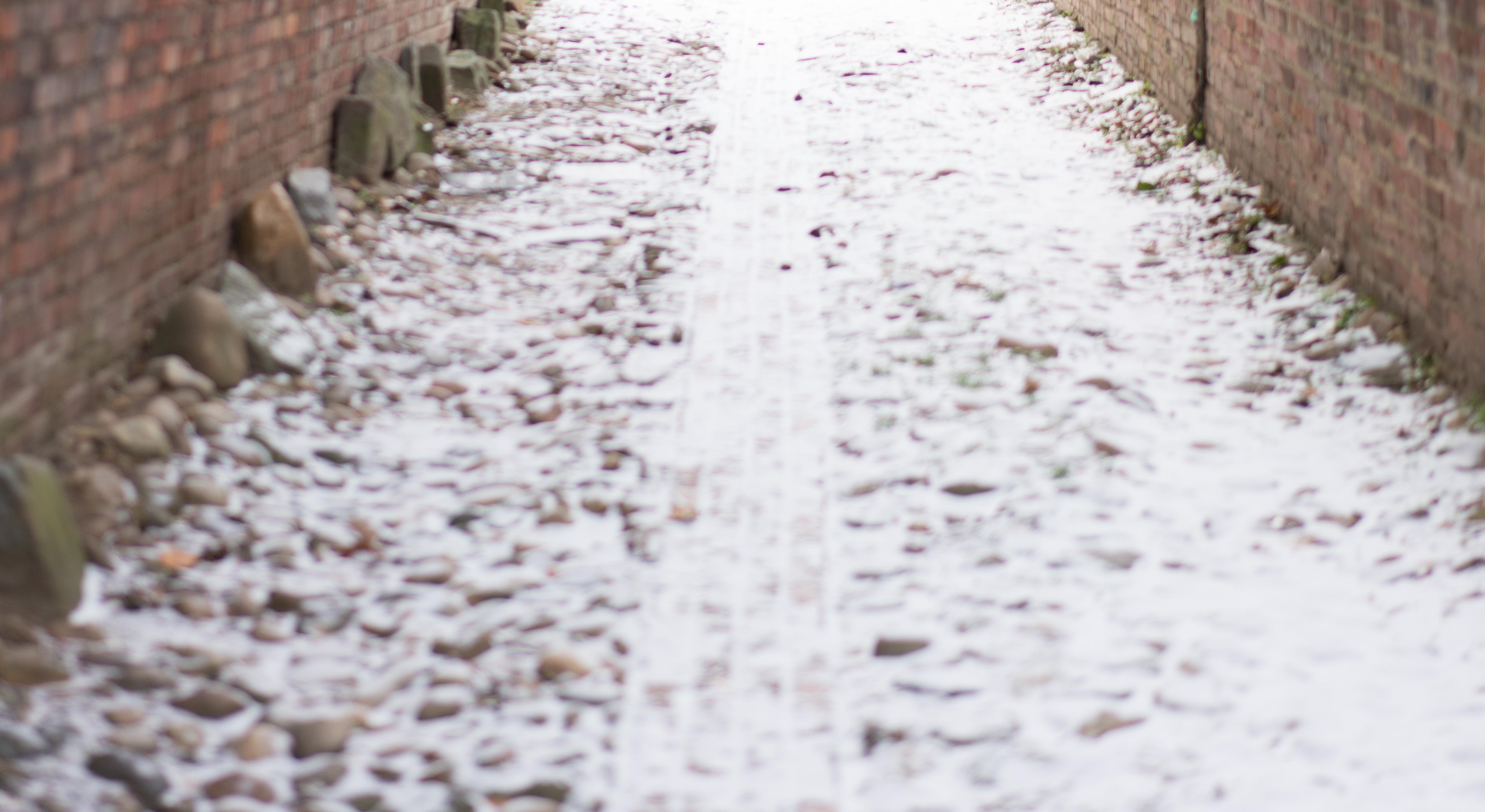 Footer image