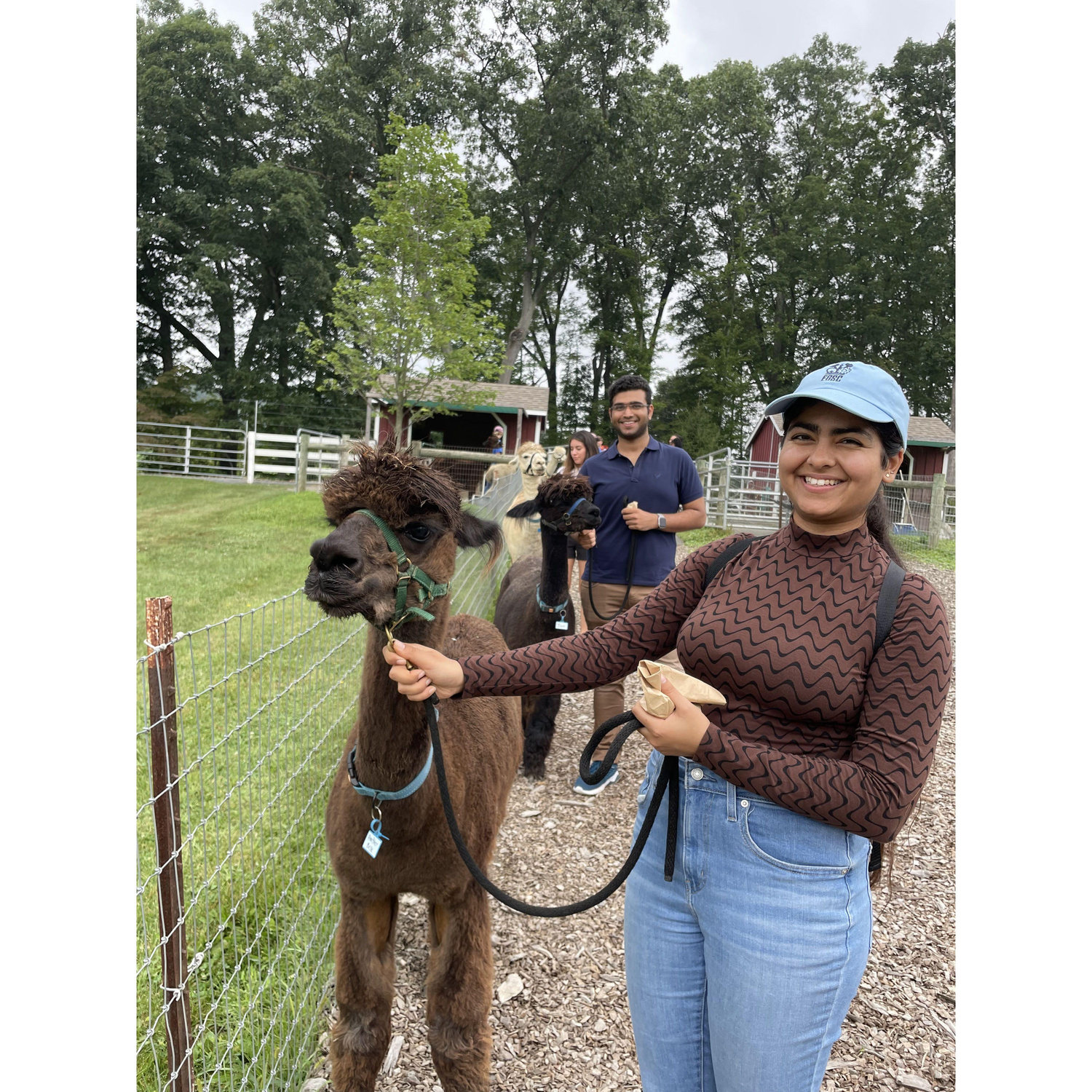 Proof that alpacas make the best walking buddies. 🦙❤️