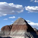 Petrified Forest National Park