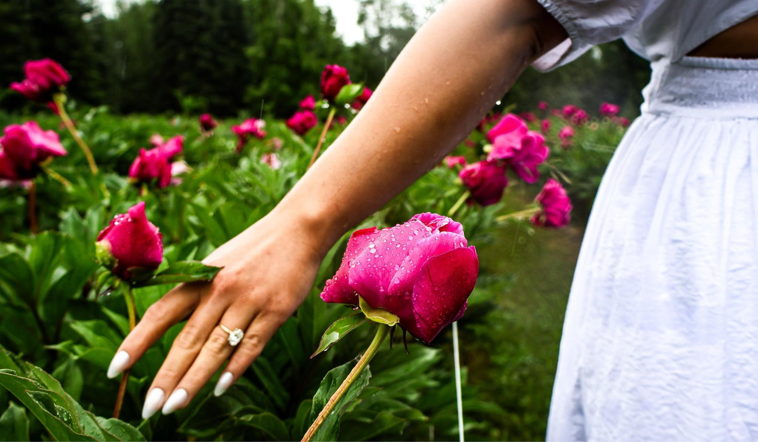 Footer image