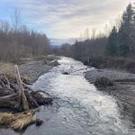 Dungeness River Nature Center