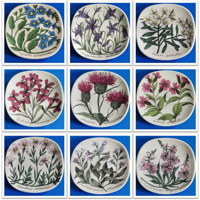 ARABIA FINLAND RARE Esteri Tomula Botanical Plates / Wall Plates / "Seinälautaset" - Collection Two - Sold Individually