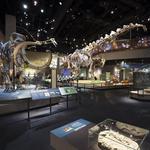 Perot Museum of Nature and Science