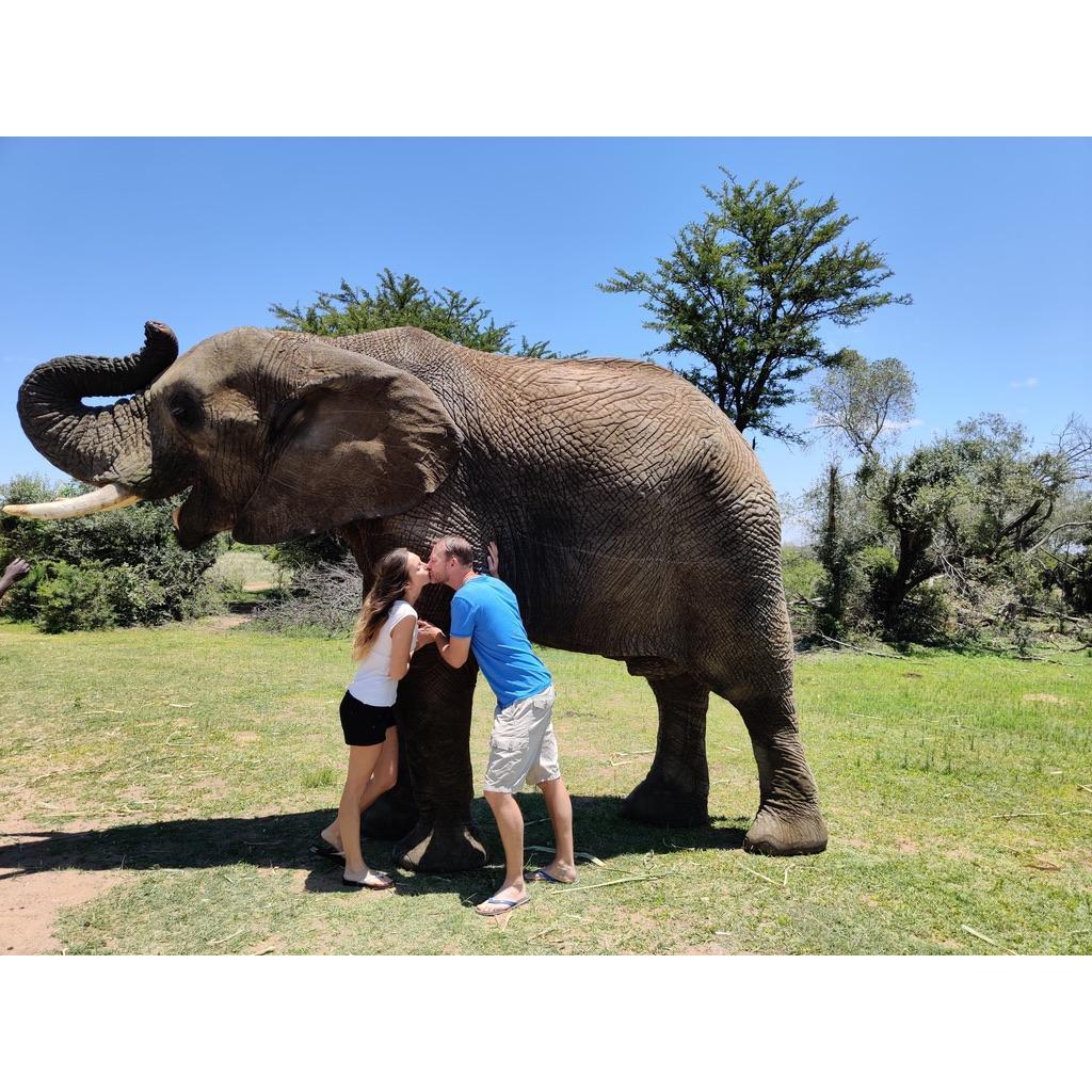 Cheesy, but gotta kiss in front of an elephant when you are in South Africa!