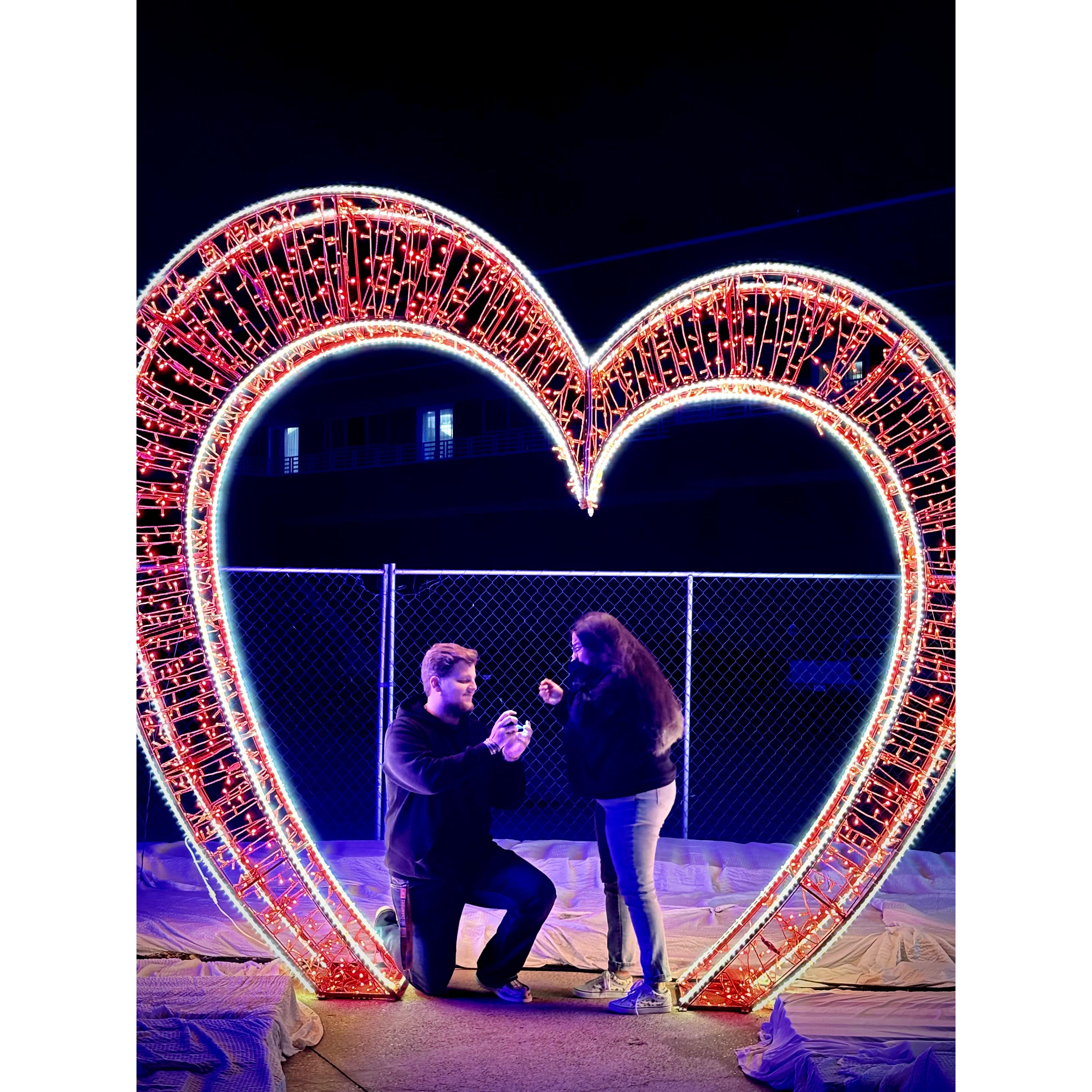 The Proposal